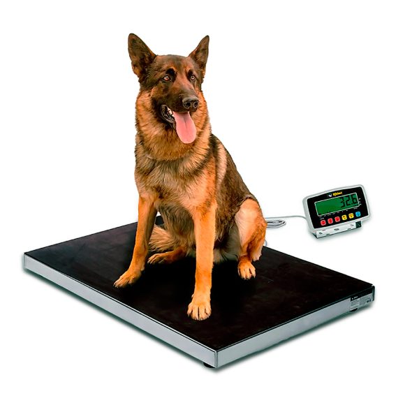 Báscula Veterinaria de Plataforma Antiderrapante - Image 2